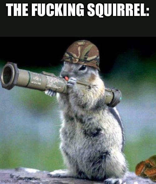 Bazooka Squirrel Meme | THE FUCKING SQUIRREL: | image tagged in memes,bazooka squirrel | made w/ Imgflip meme maker