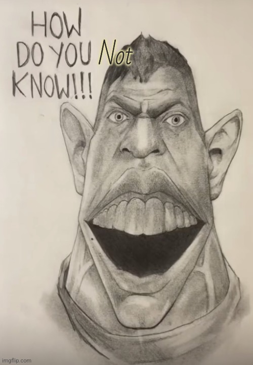 Not | image tagged in how do you know | made w/ Imgflip meme maker