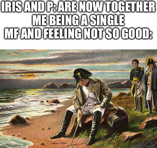 I’m lonely asf man | IRIS AND P: ARE NOW TOGETHER
ME BEING A SINGLE MF AND FEELING NOT SO GOOD: | image tagged in napoleon | made w/ Imgflip meme maker