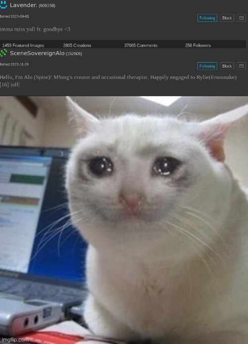 image tagged in crying cat | made w/ Imgflip meme maker