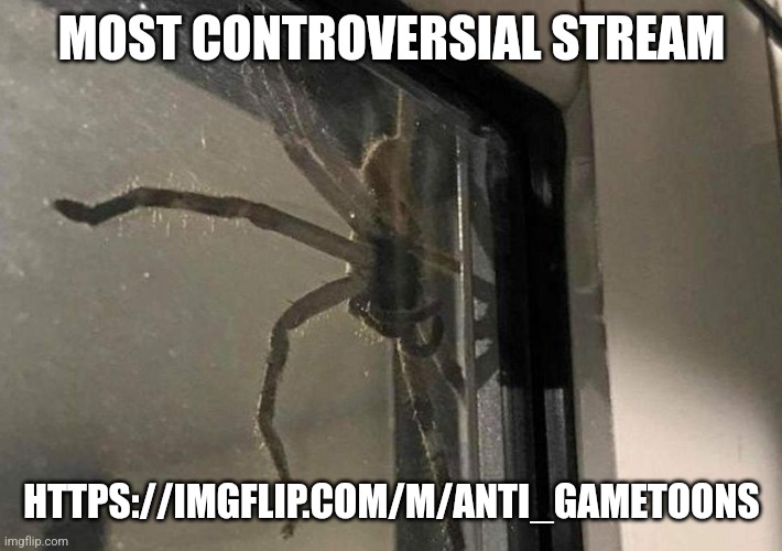 Huntsman Spider | MOST CONTROVERSIAL STREAM; HTTPS://IMGFLIP.COM/M/ANTI_GAMETOONS | image tagged in huntsman spider | made w/ Imgflip meme maker