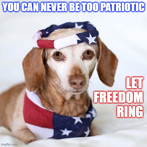 Patriotic Dog | YOU CAN NEVER BE TOO PATRIOTIC; LET
FREEDOM
RING | image tagged in dog,america,american flag,4th of july,freedom | made w/ Imgflip meme maker