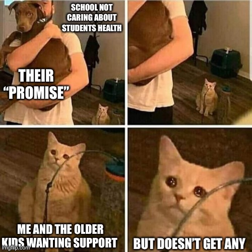 A school meme | SCHOOL NOT CARING ABOUT STUDENTS HEALTH; THEIR “PROMISE”; ME AND THE OLDER KIDS WANTING SUPPORT; BUT DOESN’T GET ANY | image tagged in sad cat holding dog | made w/ Imgflip meme maker
