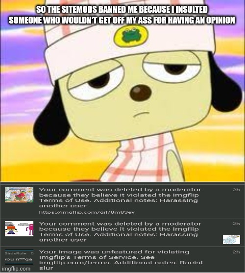 Btw I didn't make a racial slur it was bugbosucks_birdsrule and I was just exposing them saying the N(batim:I think I know who d | SO THE SITEMODS BANNED ME BECAUSE I INSULTED SOMEONE WHO WOULDN'T GET OFF MY ASS FOR HAVING AN OPINION | image tagged in parappa waking up,sitemods,are,dumb | made w/ Imgflip meme maker