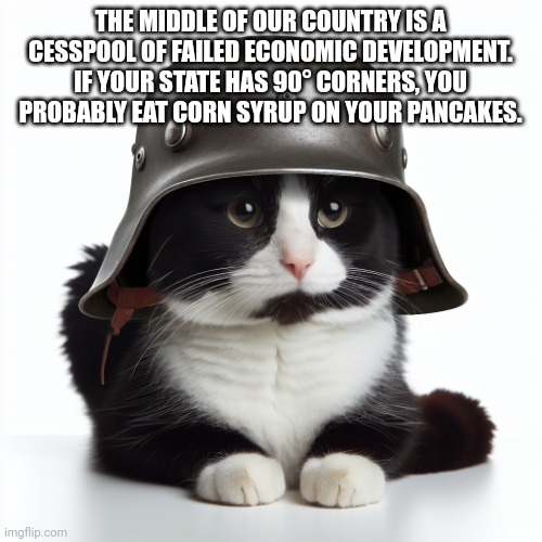 New copypasta just dropped | THE MIDDLE OF OUR COUNTRY IS A CESSPOOL OF FAILED ECONOMIC DEVELOPMENT. IF YOUR STATE HAS 90° CORNERS, YOU PROBABLY EAT CORN SYRUP ON YOUR PANCAKES. | image tagged in kaiser_floppa_the_1st silly post | made w/ Imgflip meme maker
