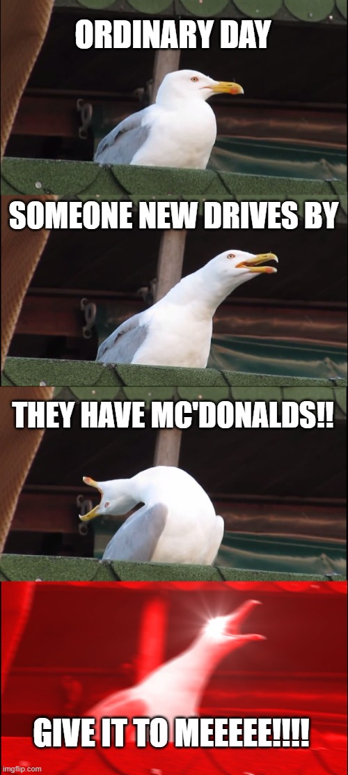 I'm hungry!!! | ORDINARY DAY; SOMEONE NEW DRIVES BY; THEY HAVE MC'DONALDS!! GIVE IT TO MEEEEE!!!! | image tagged in memes | made w/ Imgflip meme maker