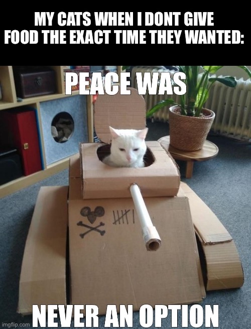 Peace was never a option cat | MY CATS WHEN I DONT GIVE FOOD THE EXACT TIME THEY WANTED: | image tagged in peace was never a option cat | made w/ Imgflip meme maker