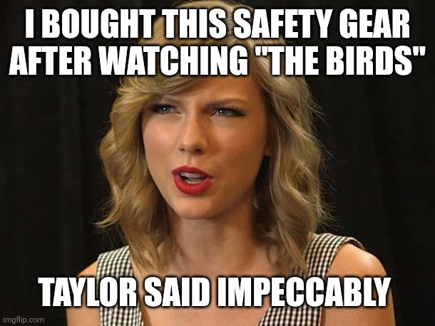 Taylor said impeccably | I BOUGHT THIS SAFETY GEAR 
AFTER WATCHING "THE BIRDS"; TAYLOR SAID IMPECCABLY | image tagged in taylor swiftie | made w/ Imgflip meme maker