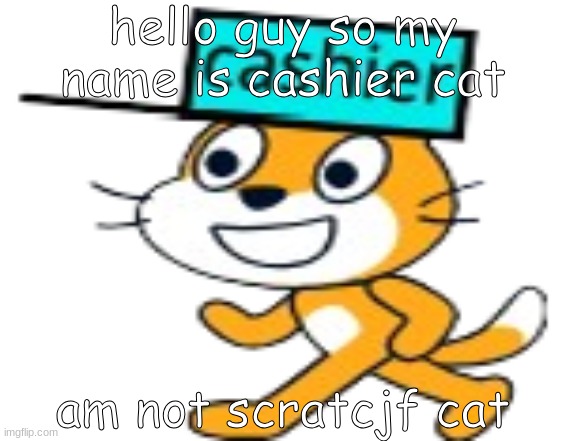 cashier cat (not scratch cat) | hello guy so my name is cashier cat; am not scratcjf cat | image tagged in cashier cat,scratch | made w/ Imgflip meme maker
