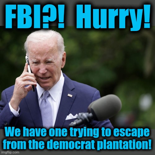 FBI?!  Hurry! We have one trying to escape from the democrat plantation! | made w/ Imgflip meme maker
