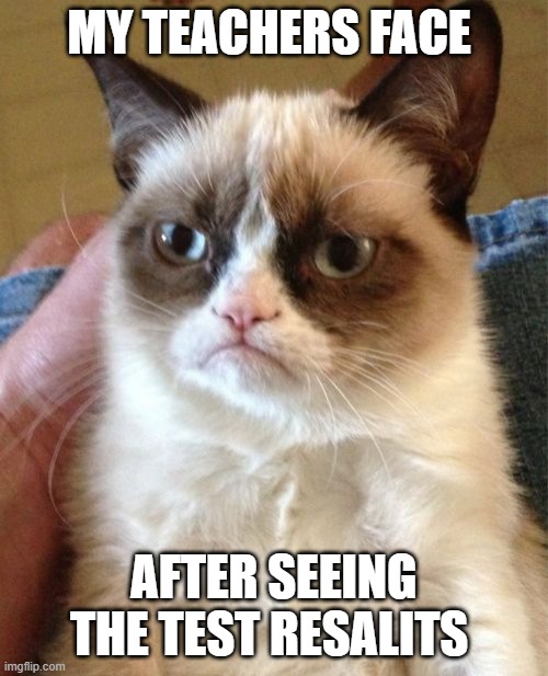 scool test haha | MY TEACHERS FACE; AFTER SEEING THE TEST RESALTS | image tagged in memes,grumpy cat | made w/ Imgflip meme maker