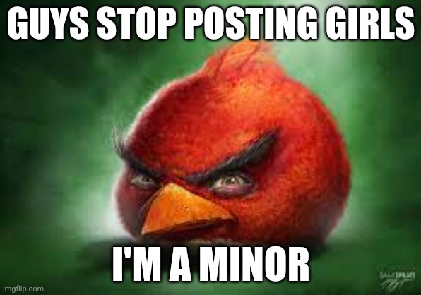 Realistic Red Angry Birds | GUYS STOP POSTING GIRLS; I'M A MINOR | image tagged in realistic red angry birds | made w/ Imgflip meme maker