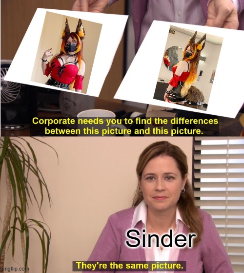 which pose is better? | Sinder | image tagged in memes,they're the same picture | made w/ Imgflip meme maker