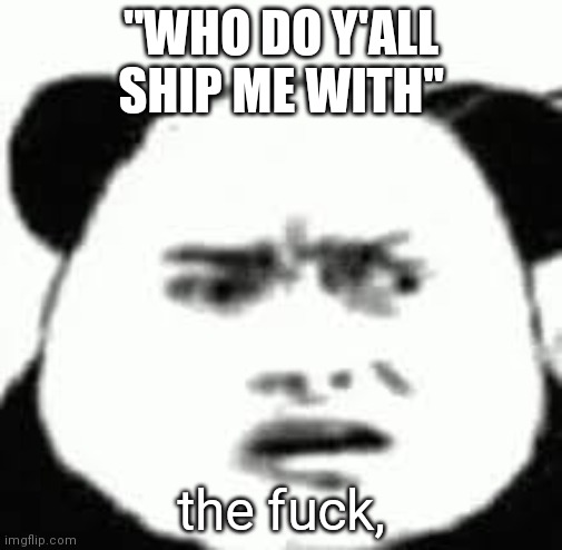 Confused chinese bear | "WHO DO Y'ALL SHIP ME WITH"; the fuck, | image tagged in confused chinese bear | made w/ Imgflip meme maker