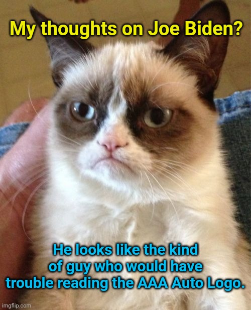Grumpy Cat Meme | My thoughts on Joe Biden? He looks like the kind of guy who would have trouble reading the AAA Auto Logo. | image tagged in memes,grumpy cat | made w/ Imgflip meme maker