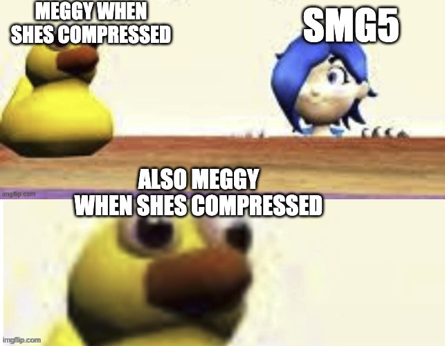 SMG5 announcement! yall may hafta wait a while longer for what he actually looks like | MEGGY WHEN SHES COMPRESSED; SMG5; ALSO MEGGY WHEN SHES COMPRESSED | image tagged in tari duck 2 0 | made w/ Imgflip meme maker