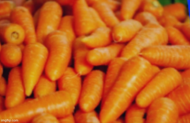 Carrot | image tagged in carrot | made w/ Imgflip meme maker