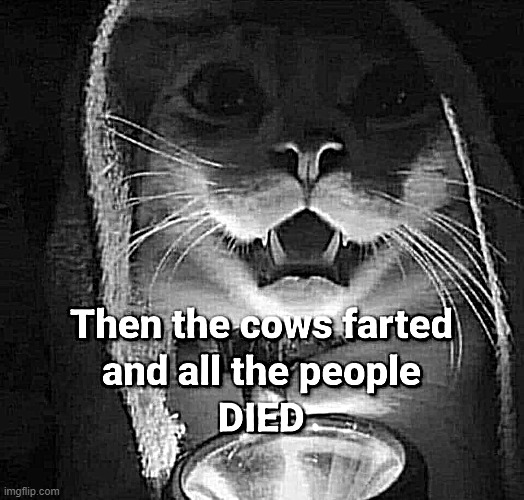 Farts will end civilisation ! | image tagged in omg cat | made w/ Imgflip meme maker