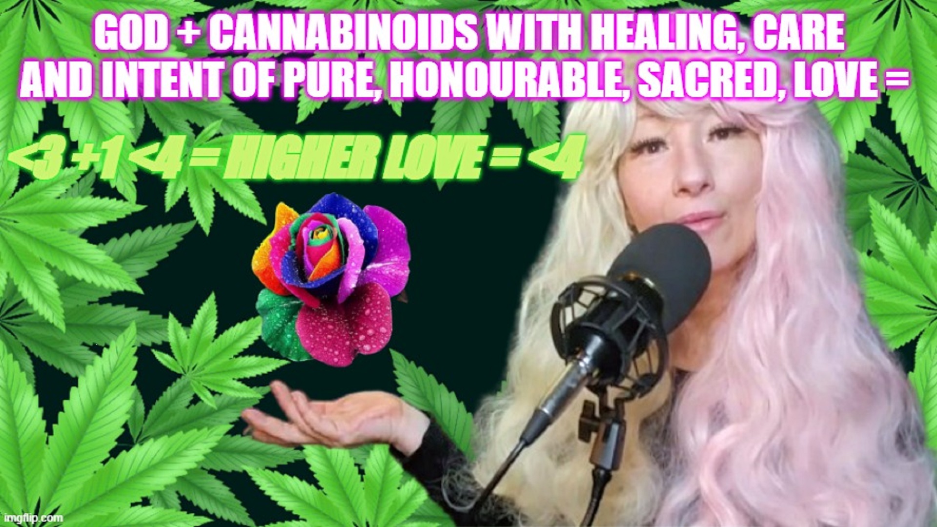 High Quality JEANNIE420 JHIGH FROM THE CROP! Blank Meme Template