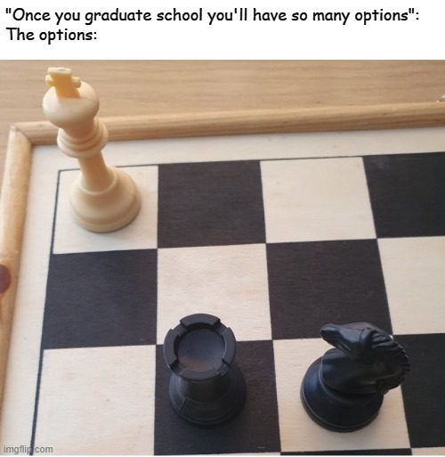 Check mate | "Once you graduate school you'll have so many options":
The options: | image tagged in check mate | made w/ Imgflip meme maker