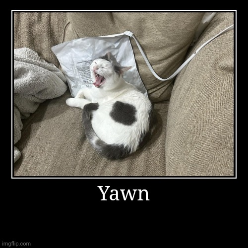 Yawn | | image tagged in funny,demotivationals | made w/ Imgflip demotivational maker