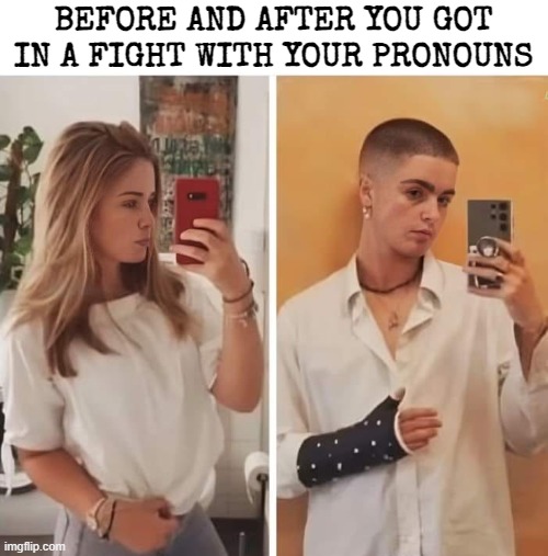BEFORE AND AFTER YOU GOT IN A FIGHT WITH YOUR PRONOUNS | image tagged in funny | made w/ Imgflip meme maker
