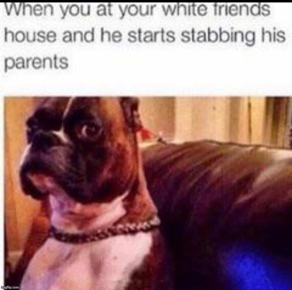 why is this so fucking funny for me | made w/ Imgflip meme maker