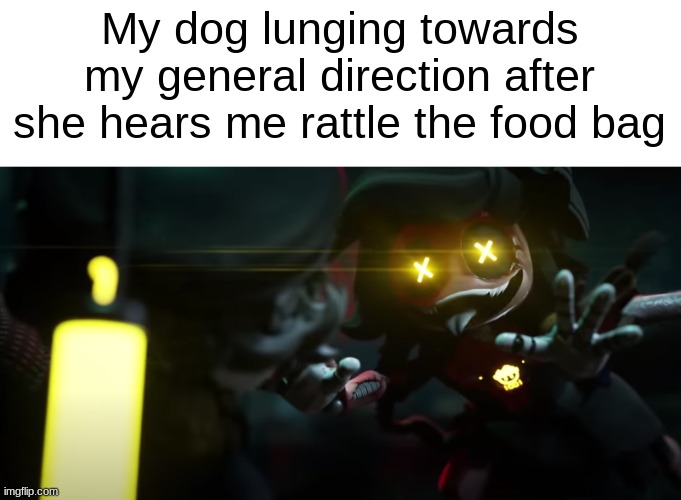 Anyone else got a dog like this? | My dog lunging towards my general direction after she hears me rattle the food bag | image tagged in dogs,murder drones | made w/ Imgflip meme maker
