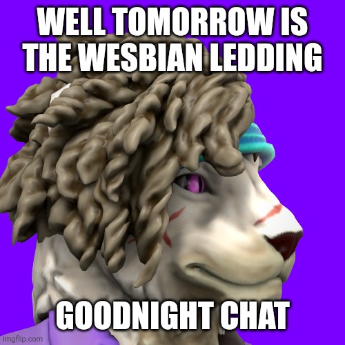 WELL TOMORROW IS THE WESBIAN LEDDING; GOODNIGHT CHAT | image tagged in zuri 5 | made w/ Imgflip meme maker