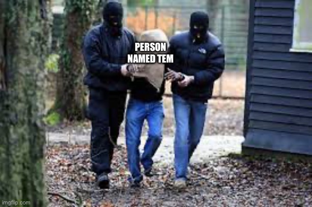 Kidnapping | PERSON NAMED TEM | image tagged in kidnapping | made w/ Imgflip meme maker