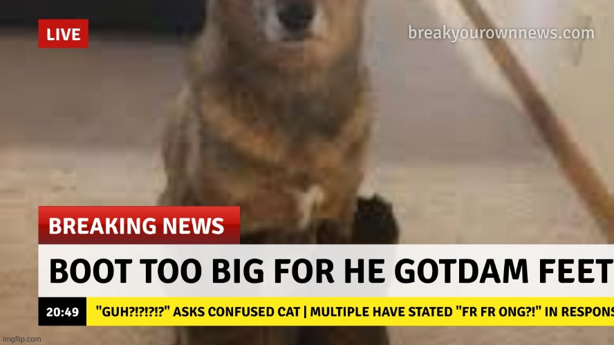made w/ Imgflip meme maker