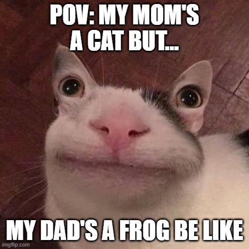 crog | POV: MY MOM'S A CAT BUT... MY DAD'S A FROG BE LIKE | image tagged in cats v frog | made w/ Imgflip meme maker