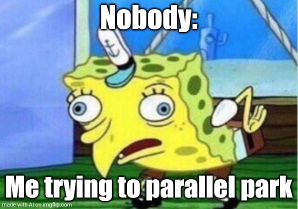 Mocking Spongebob Meme | Nobody:; Me trying to parallel park | image tagged in memes,mocking spongebob | made w/ Imgflip meme maker