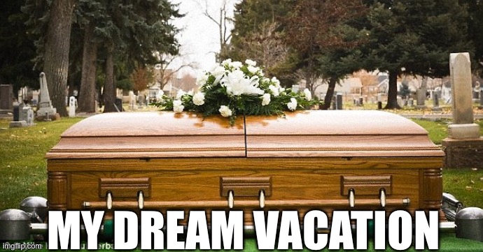 Coffin | MY DREAM VACATION | image tagged in coffin | made w/ Imgflip meme maker