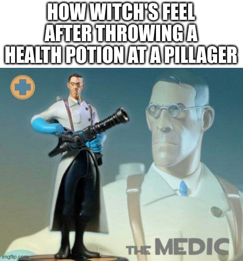medic!!!! | HOW WITCH'S FEEL AFTER THROWING A HEALTH POTION AT A PILLAGER | image tagged in the medic tf2,minecraft | made w/ Imgflip meme maker
