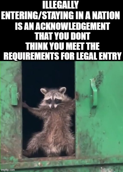 Racoon sneak | ILLEGALLY ENTERING/STAYING IN A NATION; IS AN ACKNOWLEDGEMENT THAT YOU DONT THINK YOU MEET THE REQUIREMENTS FOR LEGAL ENTRY | image tagged in racoon sneak | made w/ Imgflip meme maker