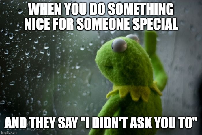 kermit window | WHEN YOU DO SOMETHING NICE FOR SOMEONE SPECIAL; AND THEY SAY "I DIDN'T ASK YOU TO" | image tagged in kermit window | made w/ Imgflip meme maker