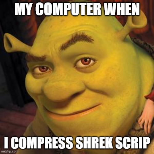 Shrek Sexy Face | MY COMPUTER WHEN; I COMPRESS SHREK SCRIP | image tagged in shrek sexy face | made w/ Imgflip meme maker