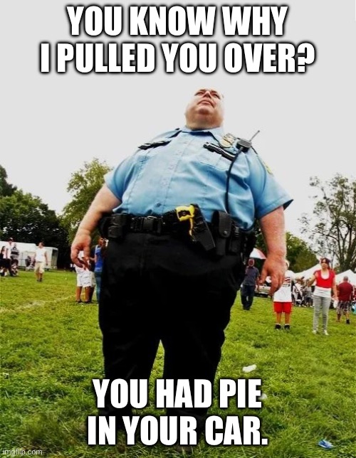 Fat Cop | YOU KNOW WHY I PULLED YOU OVER? YOU HAD PIE IN YOUR CAR. | image tagged in fat cop | made w/ Imgflip meme maker