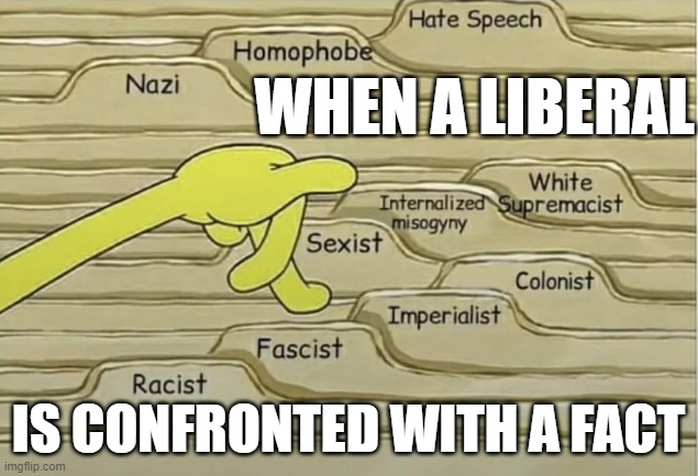 Add Home Im In | WHEN A LIBERAL; IS CONFRONTED WITH A FACT | image tagged in racist,fascist,homophobe,nazi,sexist,white supremacists | made w/ Imgflip meme maker