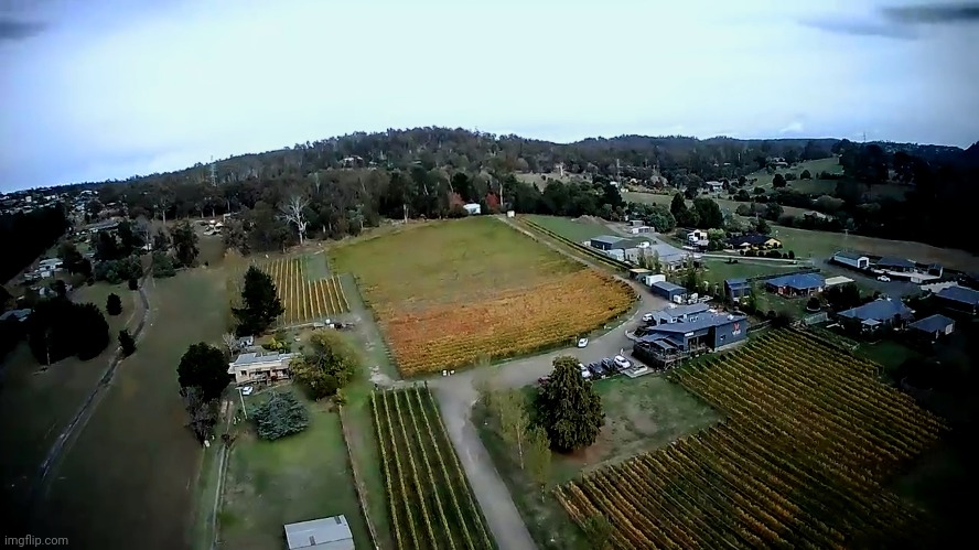 Vineyard | image tagged in drone photography | made w/ Imgflip meme maker