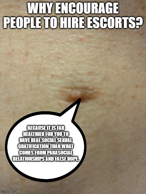 Because, reasons. | WHY ENCOURAGE PEOPLE TO HIRE ESCORTS? BECAUSE IT IS FAR HEALTHIER FOR YOU TO HAVE REAL SOCIAL SEXUAL GRATIFICATION THAN WHAT COMES FROM PARASOCIAL RELATIONSHIPS AND FALSE HOPE. | image tagged in sezmo's third nipple | made w/ Imgflip meme maker