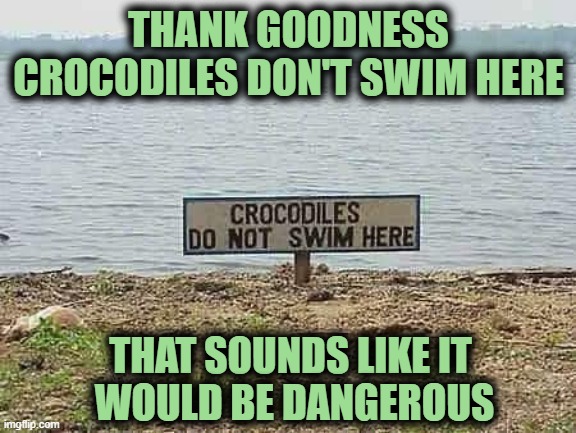 THANK GOODNESS CROCODILES DON'T SWIM HERE; THAT SOUNDS LIKE IT 
WOULD BE DANGEROUS | image tagged in crocodile,swin,sign,punctuation | made w/ Imgflip meme maker