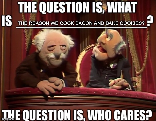 THE REASON WE COOK BACON AND BAKE COOKIES? | image tagged in funny,muppets,memes,stupid | made w/ Imgflip meme maker