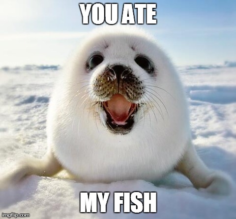 The Happy Seal | YOU ATE MY FISH | image tagged in the happy seal | made w/ Imgflip meme maker