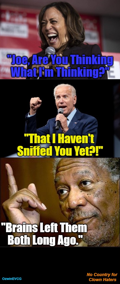 No Country for Clown Haters | "Joe, Are You Thinking What I'm Thinking?"; "That I Haven't 

Sniffed You Yet?!"; "Brains Left Them 

Both Long Ago."; No Country for 

Clown Haters; OzwinEVCG | image tagged in venting,joe biden,sir sniffs-a-lot,kamala harris,comrade kneepads,want my country back | made w/ Imgflip meme maker