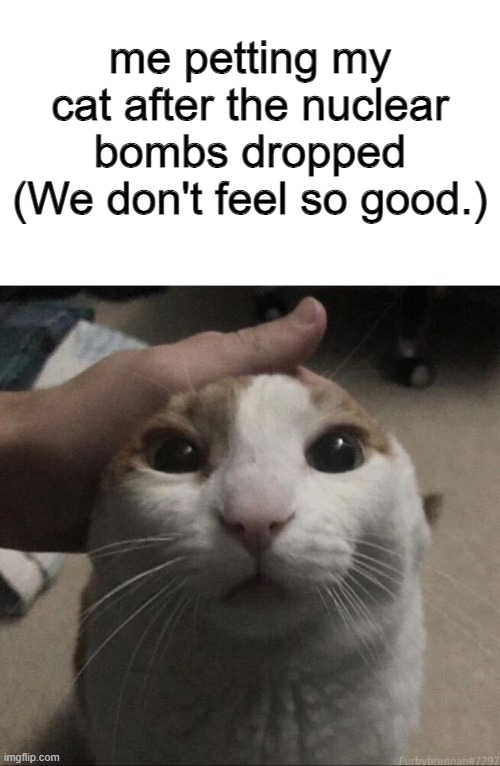 me petting my cat 1 | me petting my cat after the nuclear bombs dropped
(We don't feel so good.) | image tagged in me petting my cat | made w/ Imgflip meme maker