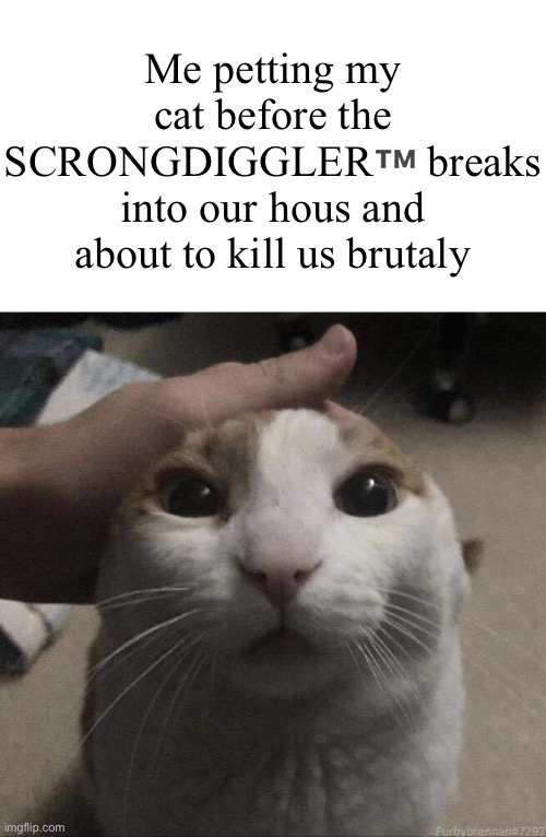 me petting my cat | Me petting my cat before the SCRONGDIGGLER™️ breaks into our hous and about to kill us brutaly | image tagged in me petting my cat | made w/ Imgflip meme maker