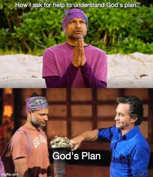 Survival Plan | How I ask for help to understand God's plan. God's Plan | image tagged in survivor,bhanu,torch,prayer | made w/ Imgflip meme maker