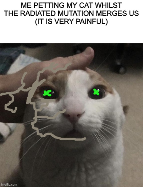 me petting my cat | ME PETTING MY CAT WHILST THE RADIATED MUTATION MERGES US
(IT IS VERY PAINFUL) | image tagged in me petting my cat | made w/ Imgflip meme maker